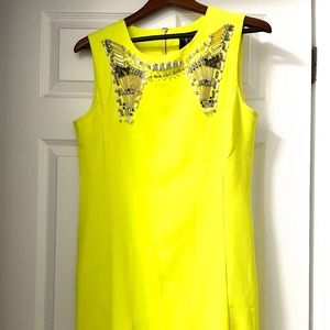 Eros Apparel Neon Sheath Dress